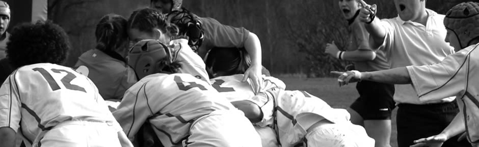 在线短信电话轰炸机