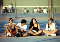 云呼网页版在线轰炸机